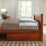 1180 CD CP : Kids Beds Twin Traditional Bed with Dresser and Cubby, Panel, Chestnut