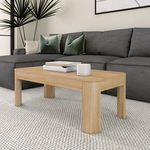 2400505001-008 : Coffee Table Modern Rounded Rectangular Coffee Table (40in x 20in / 1020mm x 510mm), Walnut