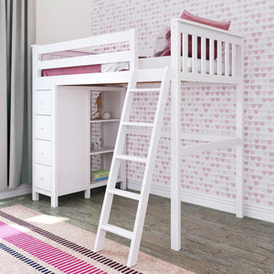 All in One Loft Bed with Storage