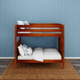 FIT 1 CP : Classic Bunk Beds Med. High Bunk w/ Straight Ladder on End, Panel, Chestnut