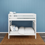 FIT 1 WC : Classic Bunk Beds Med. High Bunk w/ Straight Ladder on End, Curve, White