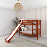 JOLLY CP : Play Bunk Beds Twin Medium Bunk Bed with Slide and Straight Ladder on Front, Panel, Chestnut