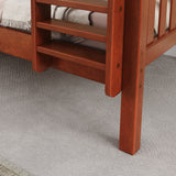 JOLLY CS : Play Bunk Beds Twin Medium Bunk Bed with Slide and Straight Ladder on Front, Slat, Chestnut