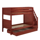 STELLAR TD CP : Bunk Beds Twin Medium Bunk Bed with Stairs and Trundle Drawer, Panel, Chestnut